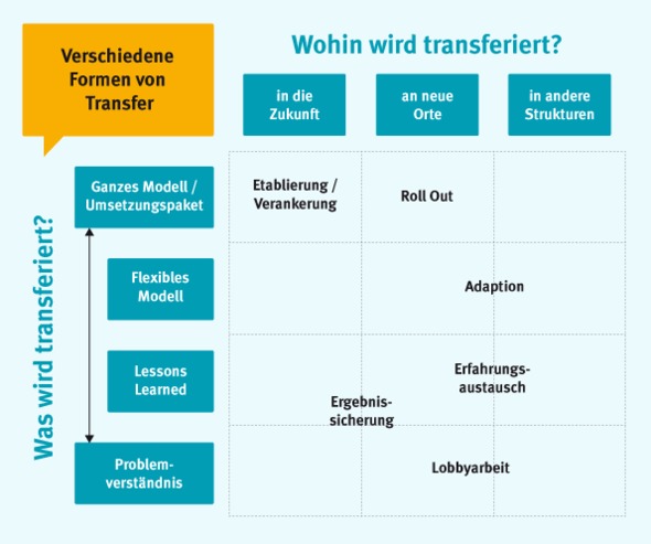 DKJS-Transfermatrix, eine Grafik mit den verschiedenen Formen und Zielen von Transfervorhaben