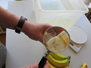 Banane wird untersucht